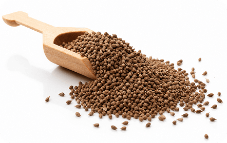 Carom Seeds (Ajwain)