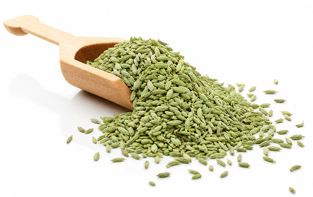 Fennel Seeds (Saunf)